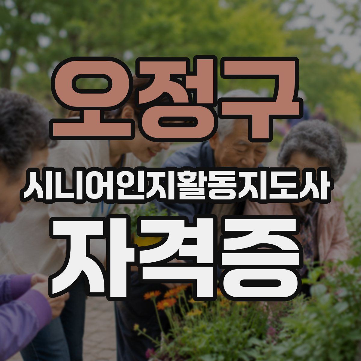 오정구 시니어인지활동지도사 자격증