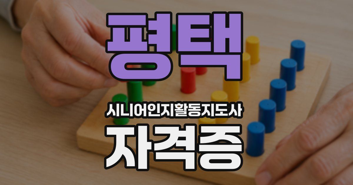 평택 시니어인지활동지도사 자격증