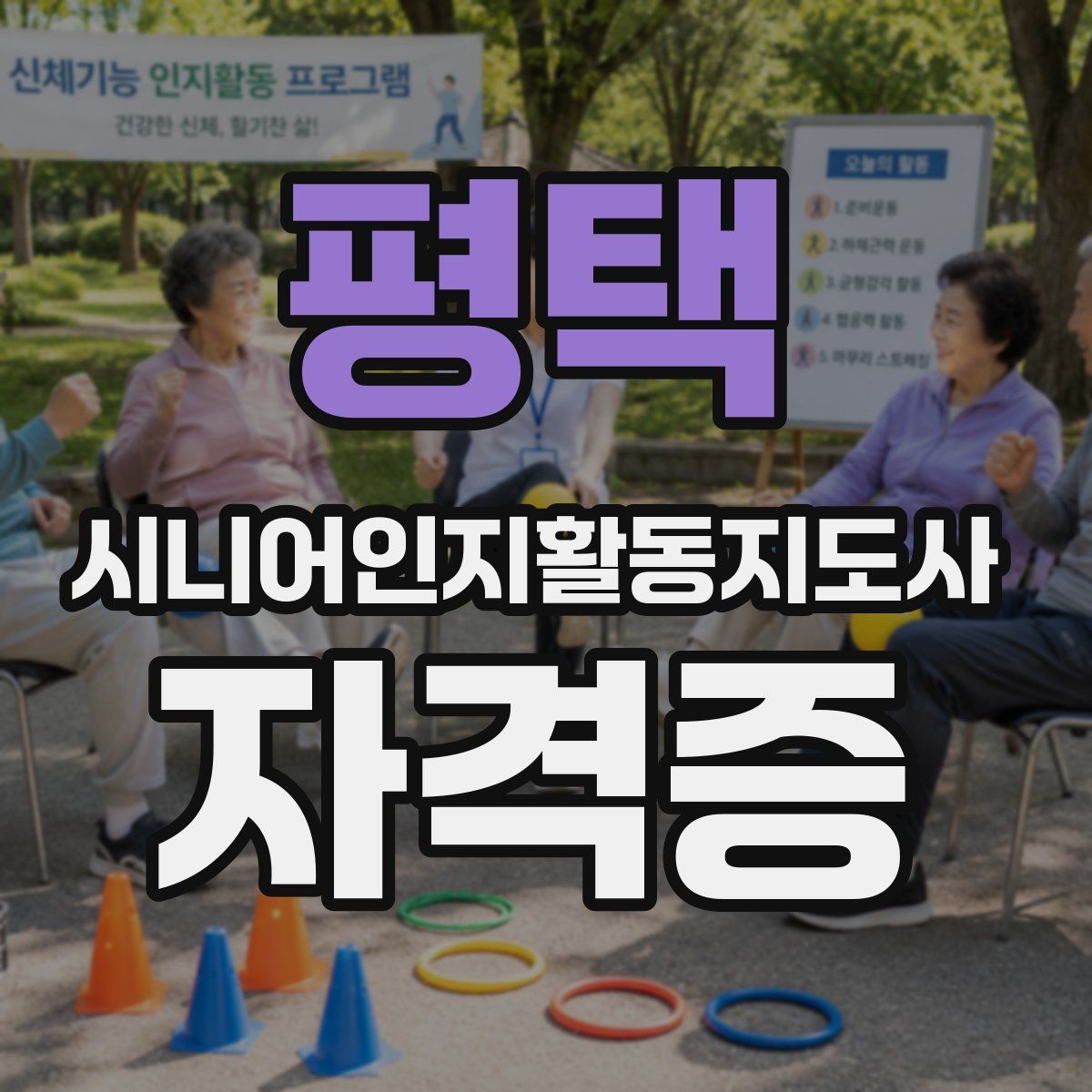 평택 시니어인지활동지도사 자격증