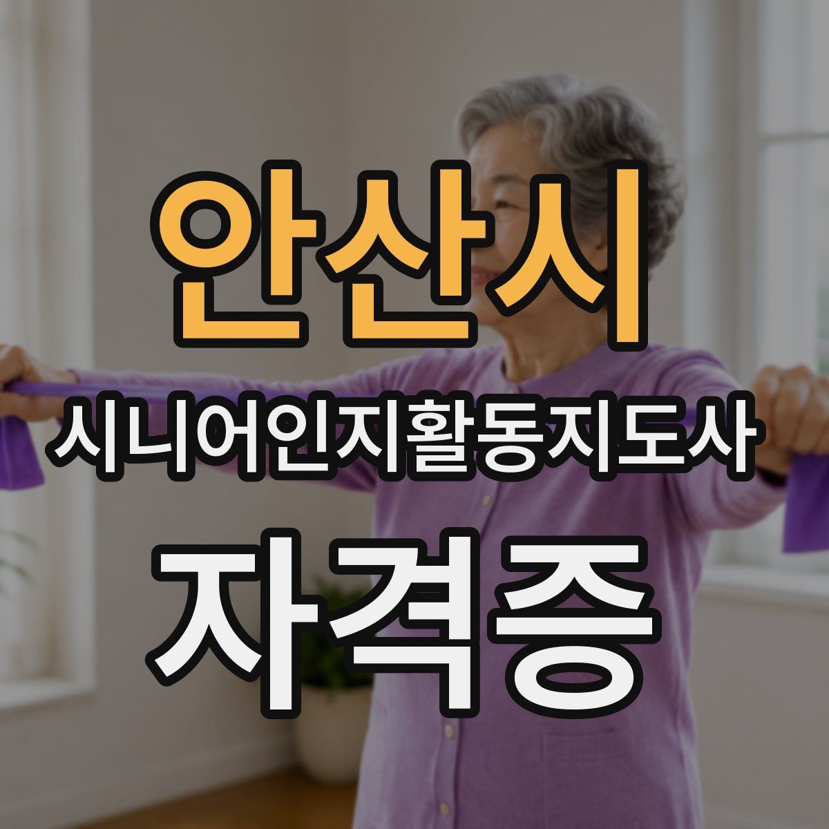 안산시 시니어인지활동지도사 자격증