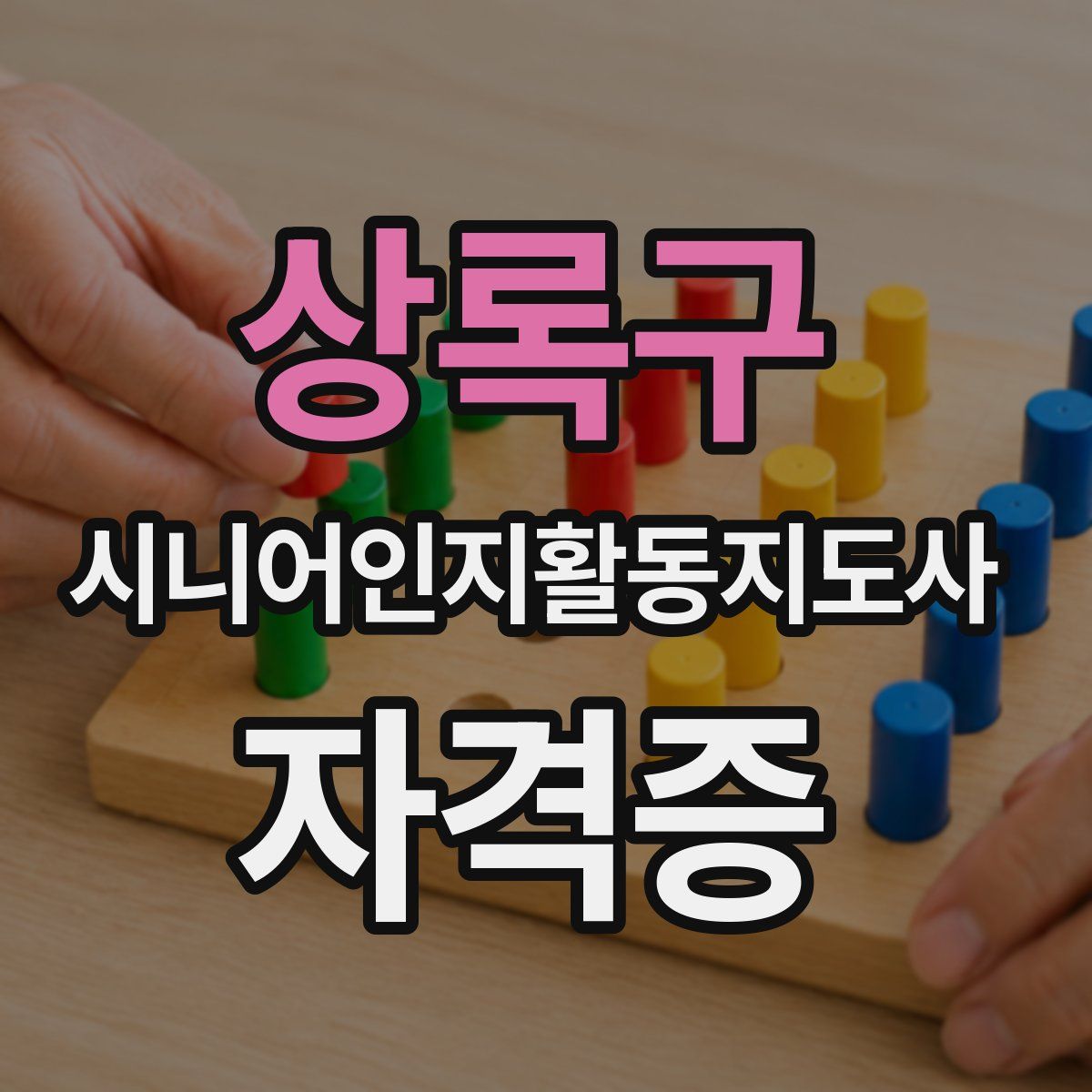 상록구 시니어인지활동지도사 자격증