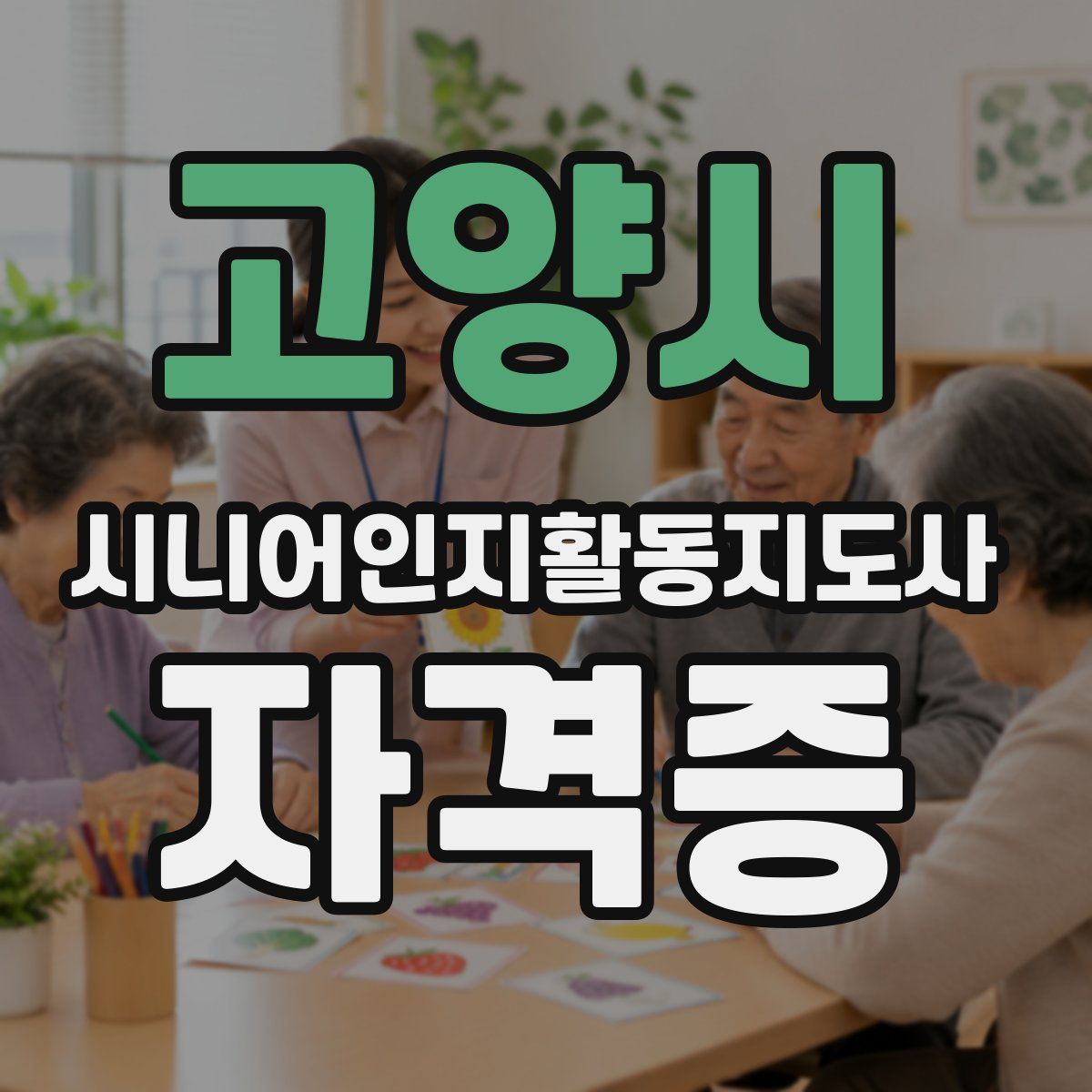 고양시 시니어인지활동지도사 자격증
