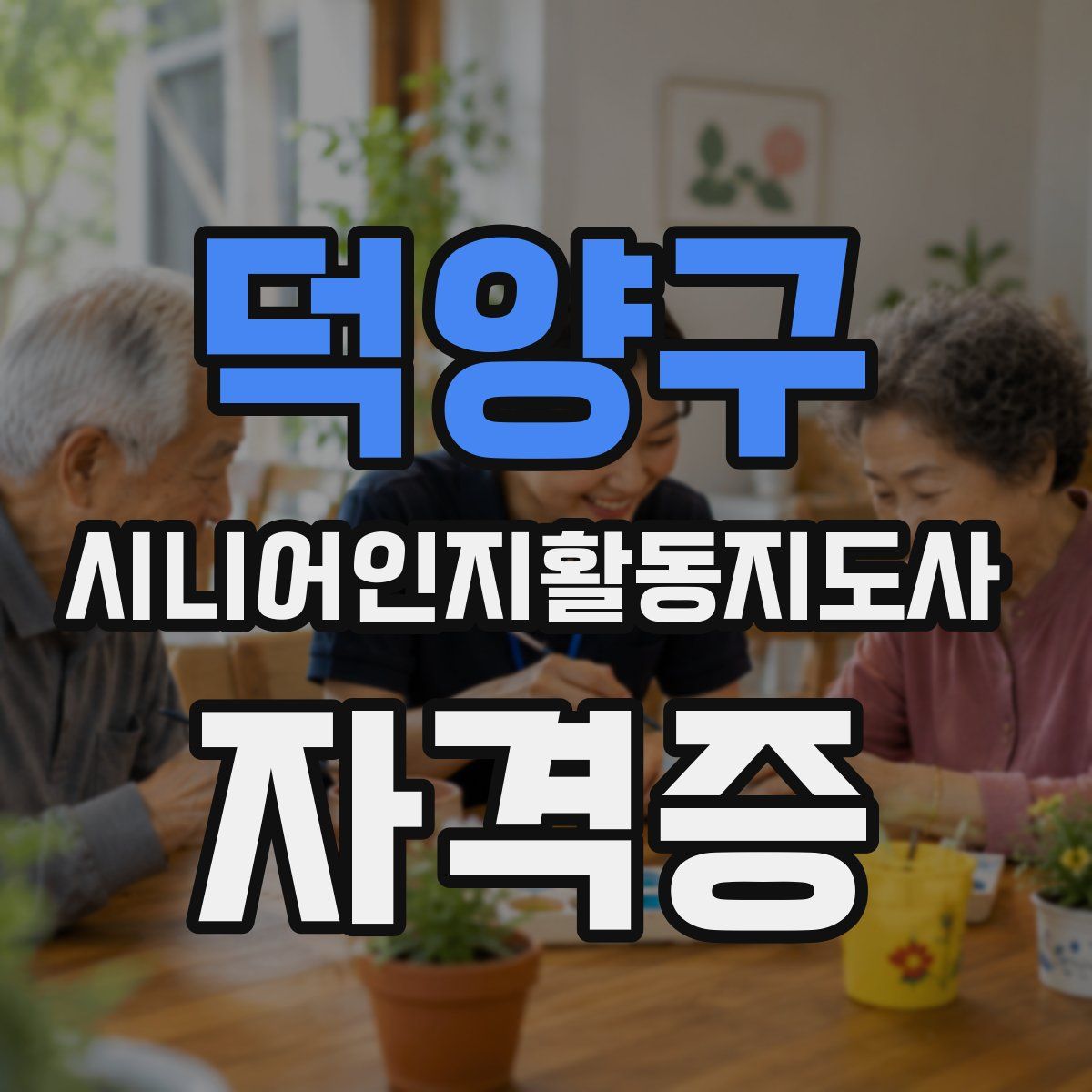 덕양구 시니어인지활동지도사 자격증