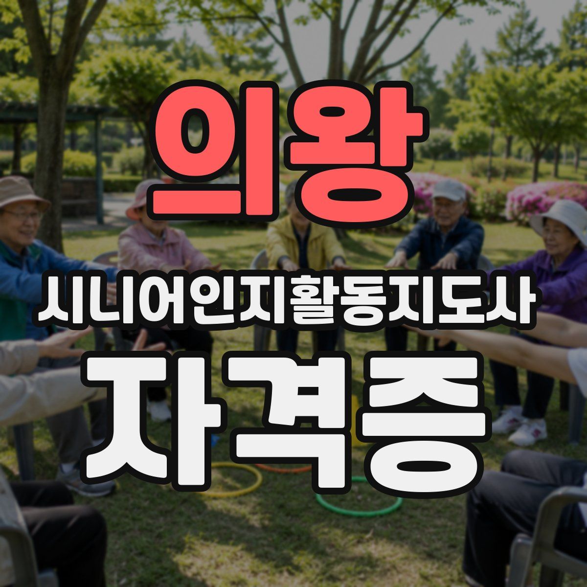 의왕 시니어인지활동지도사 자격증