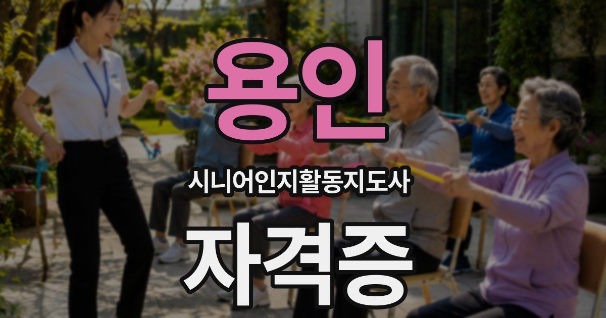 용인 시니어인지활동지도사 자격증