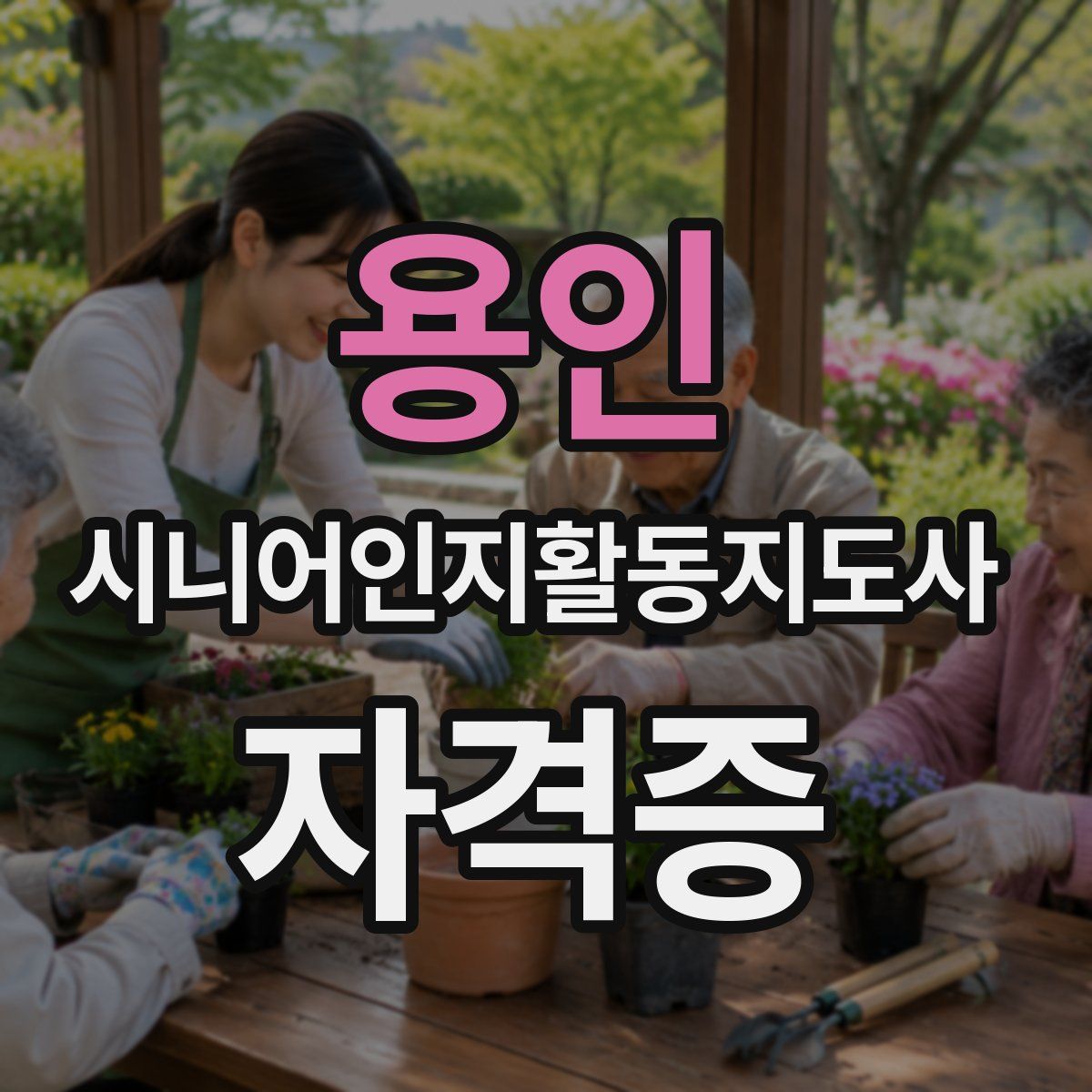 용인 시니어인지활동지도사 자격증