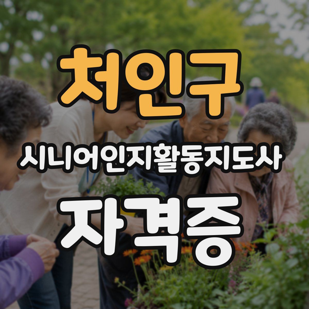 처인구 시니어인지활동지도사 자격증