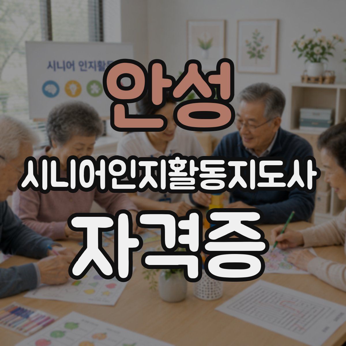안성 시니어인지활동지도사 자격증