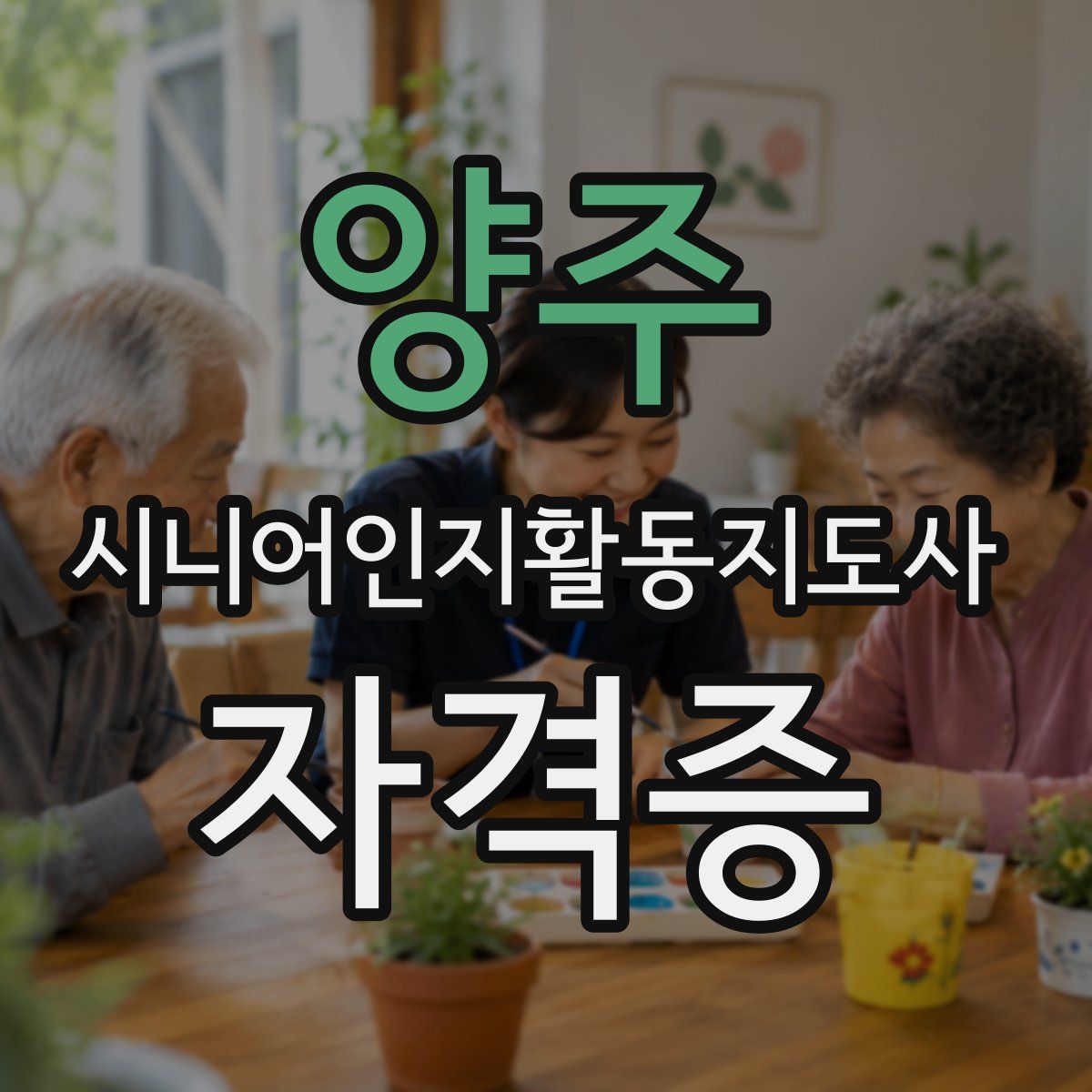 양주 시니어인지활동지도사 자격증
