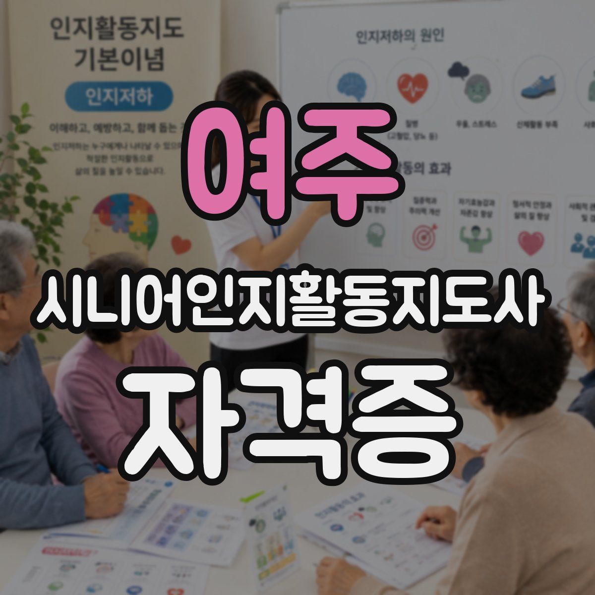여주 시니어인지활동지도사 자격증