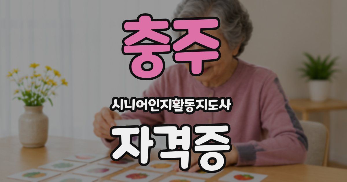 충주 시니어인지활동지도사 자격증
