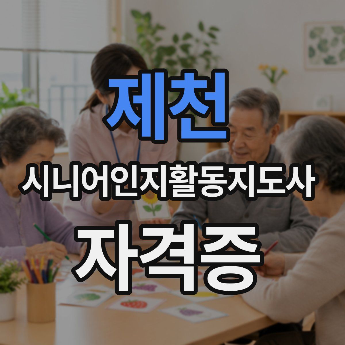 제천 시니어인지활동지도사 자격증