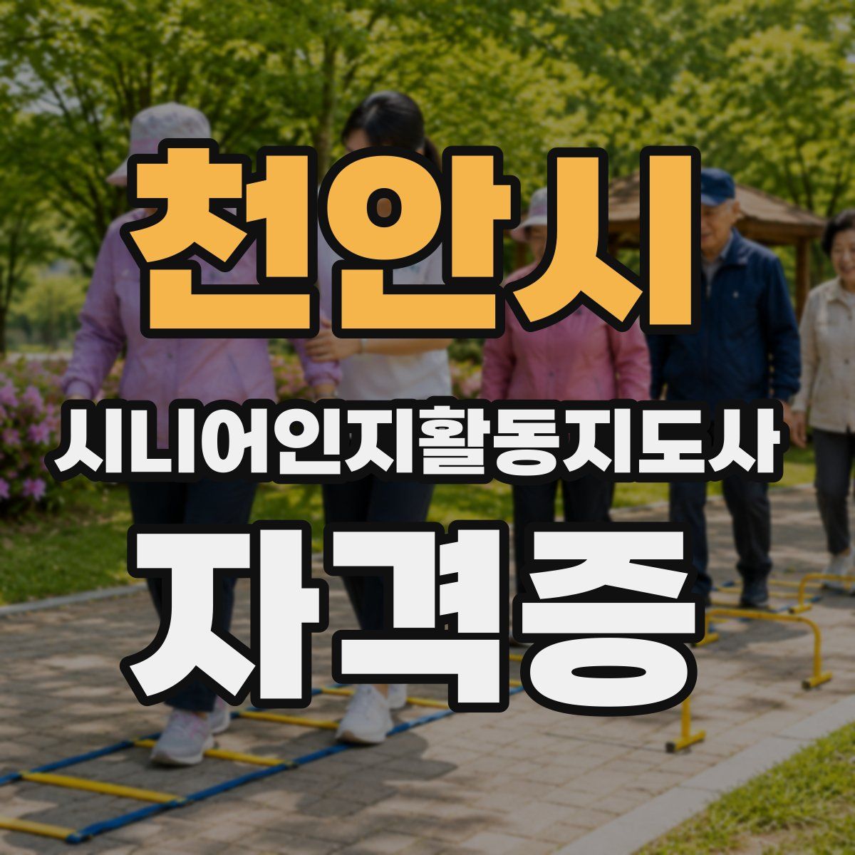 천안시 시니어인지활동지도사 자격증