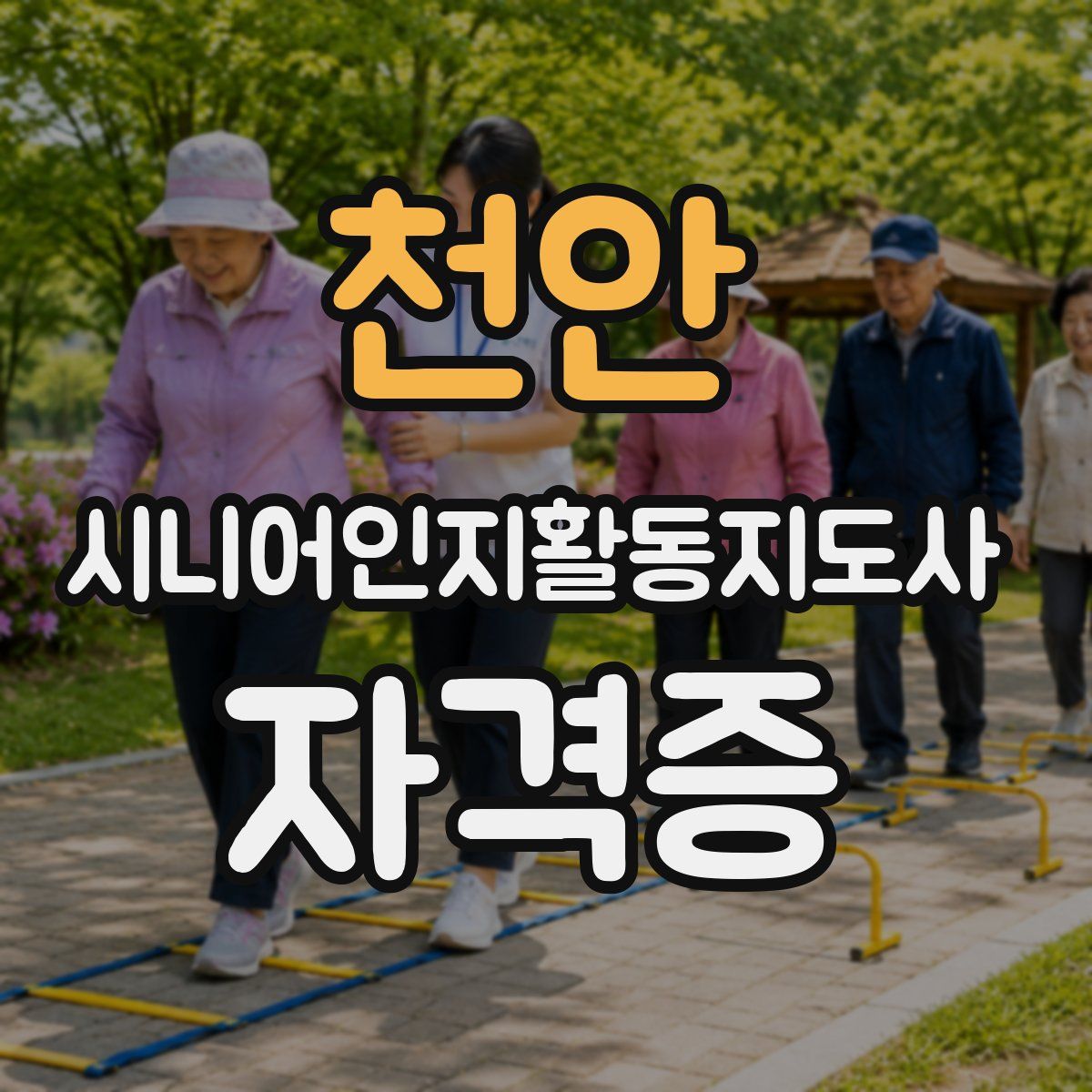 천안 시니어인지활동지도사 자격증
