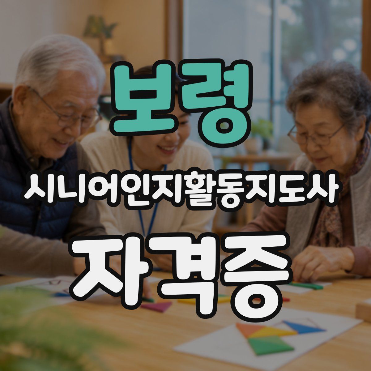 보령 시니어인지활동지도사 자격증