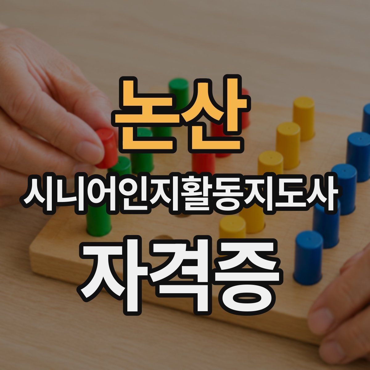 논산 시니어인지활동지도사 자격증