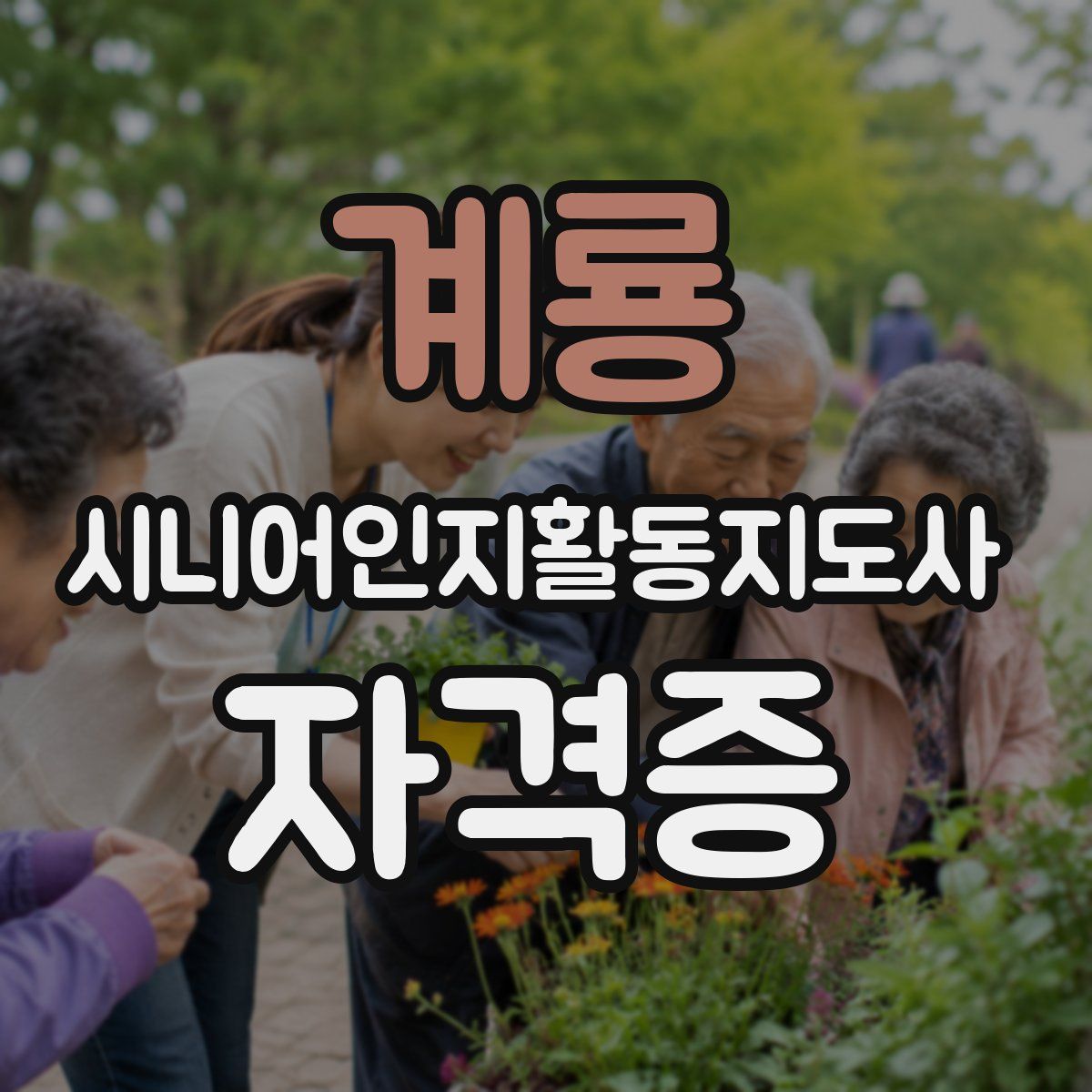 계룡 시니어인지활동지도사 자격증