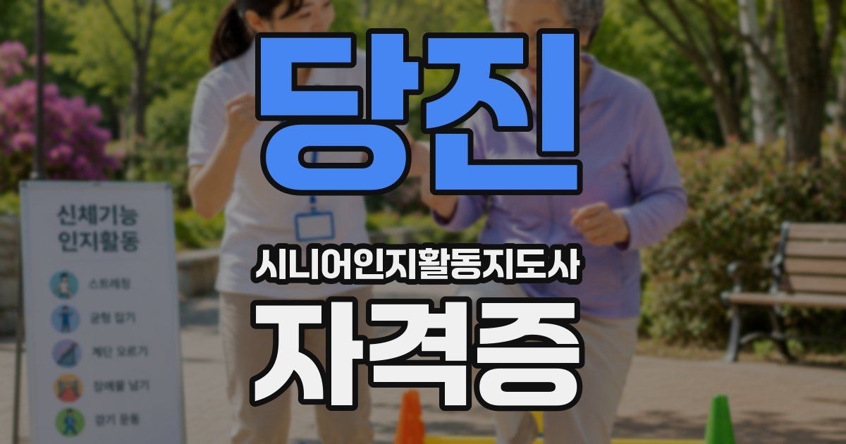 당진 시니어인지활동지도사 자격증