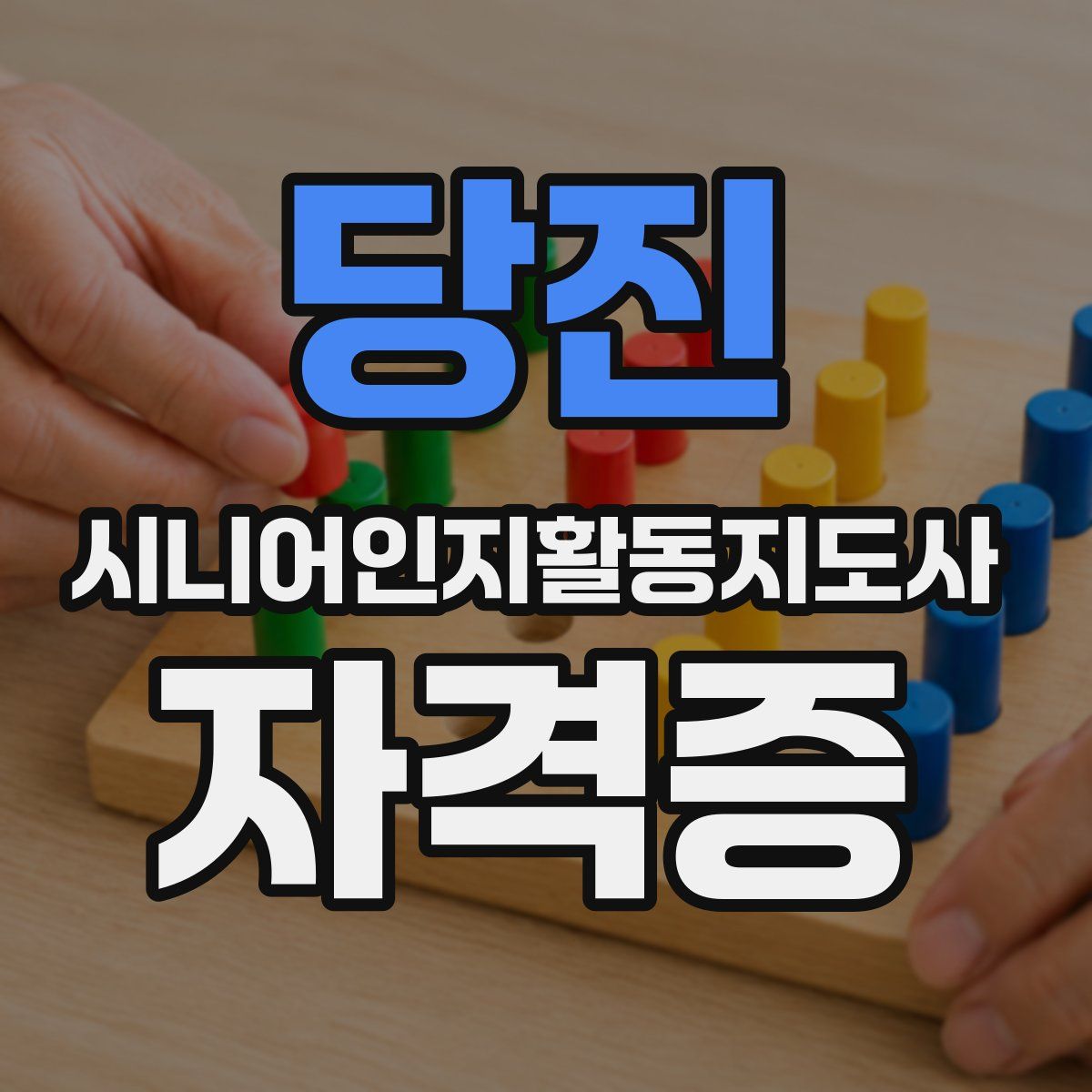 당진 시니어인지활동지도사 자격증