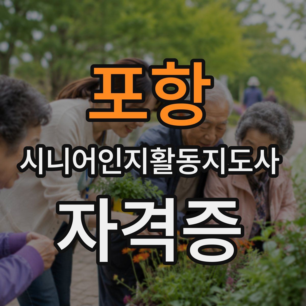 포항 시니어인지활동지도사 자격증