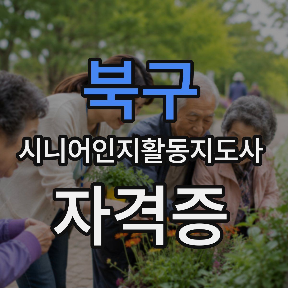 북구 시니어인지활동지도사 자격증