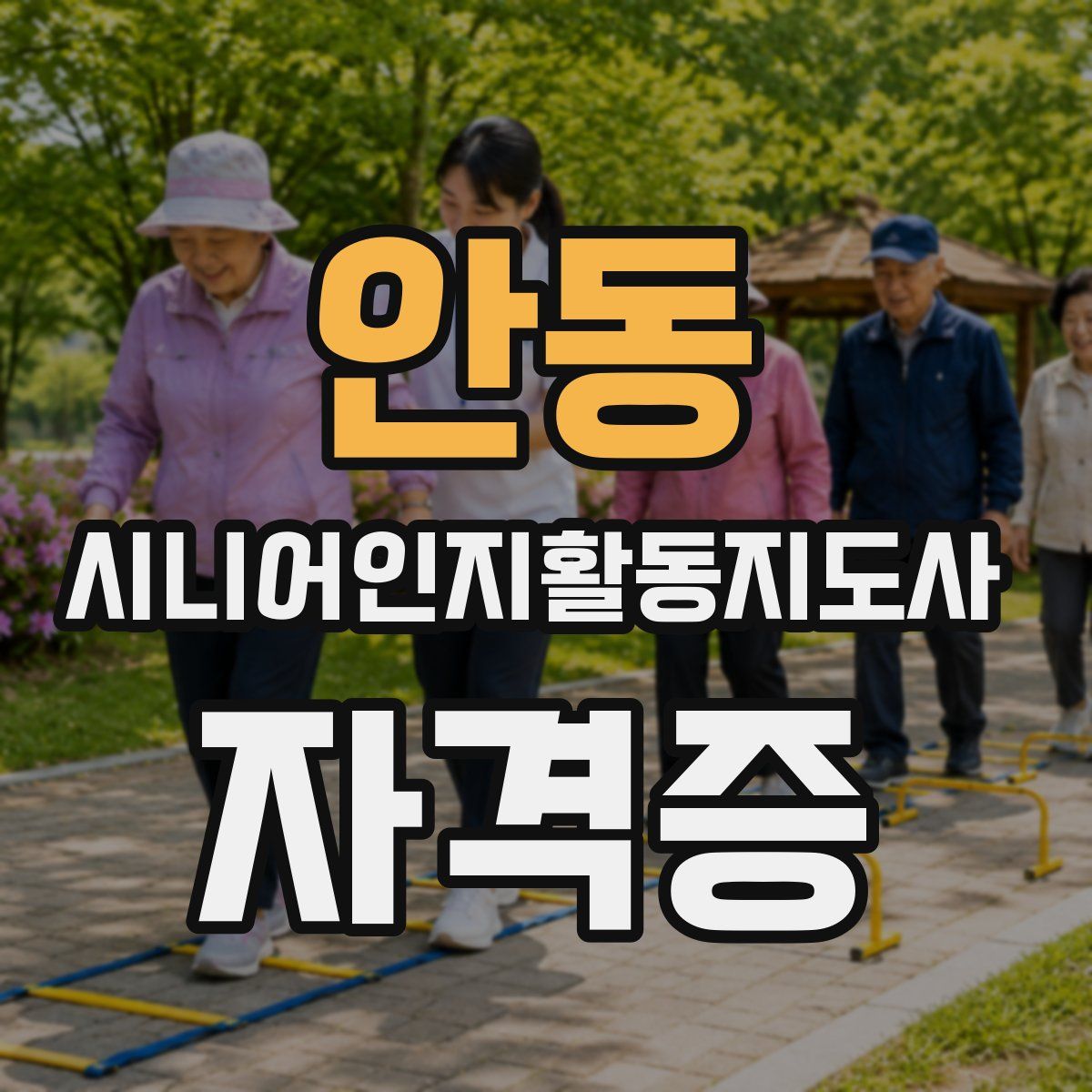 안동 시니어인지활동지도사 자격증