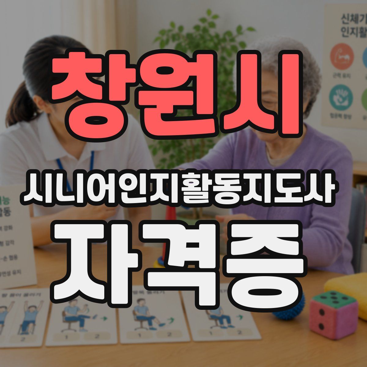 창원시 시니어인지활동지도사 자격증