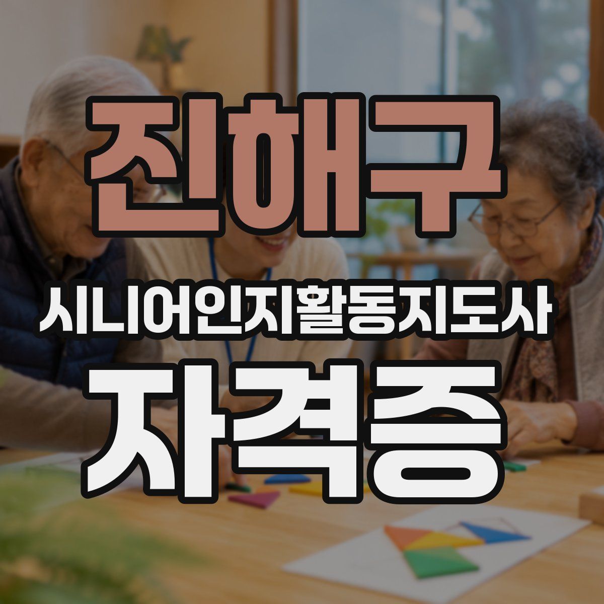 진해구 시니어인지활동지도사 자격증