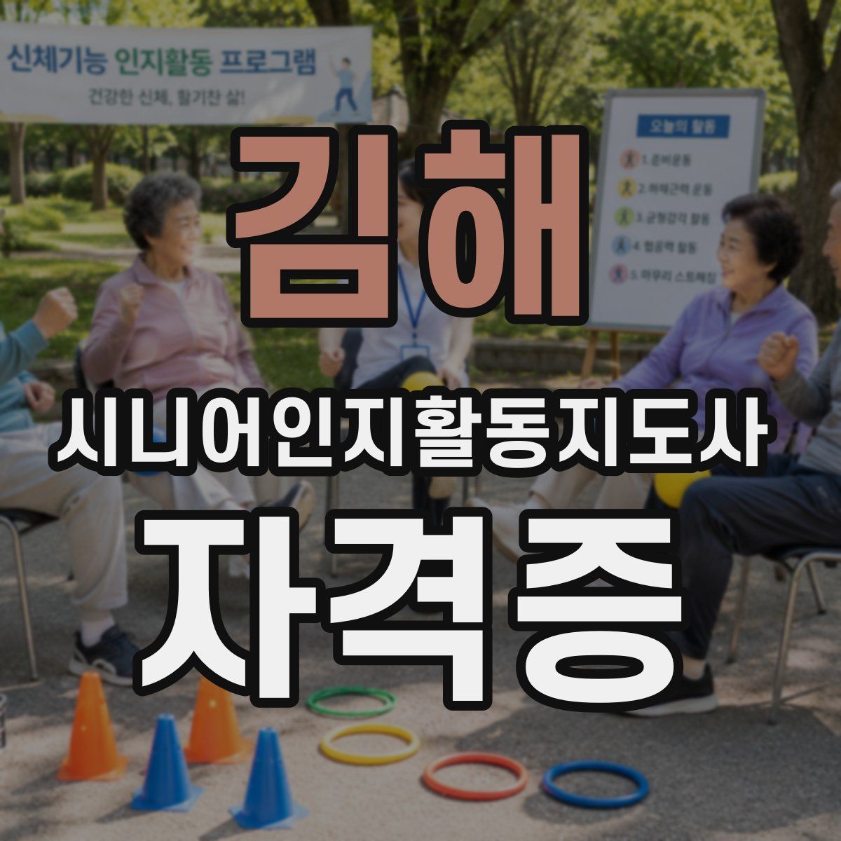 김해 시니어인지활동지도사 자격증