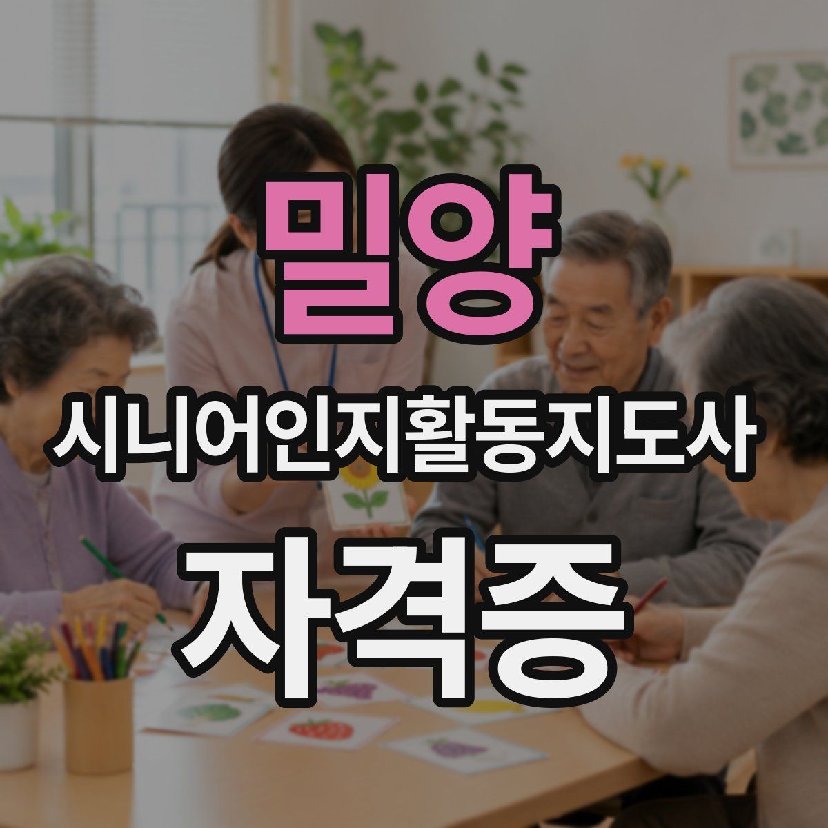 밀양 시니어인지활동지도사 자격증