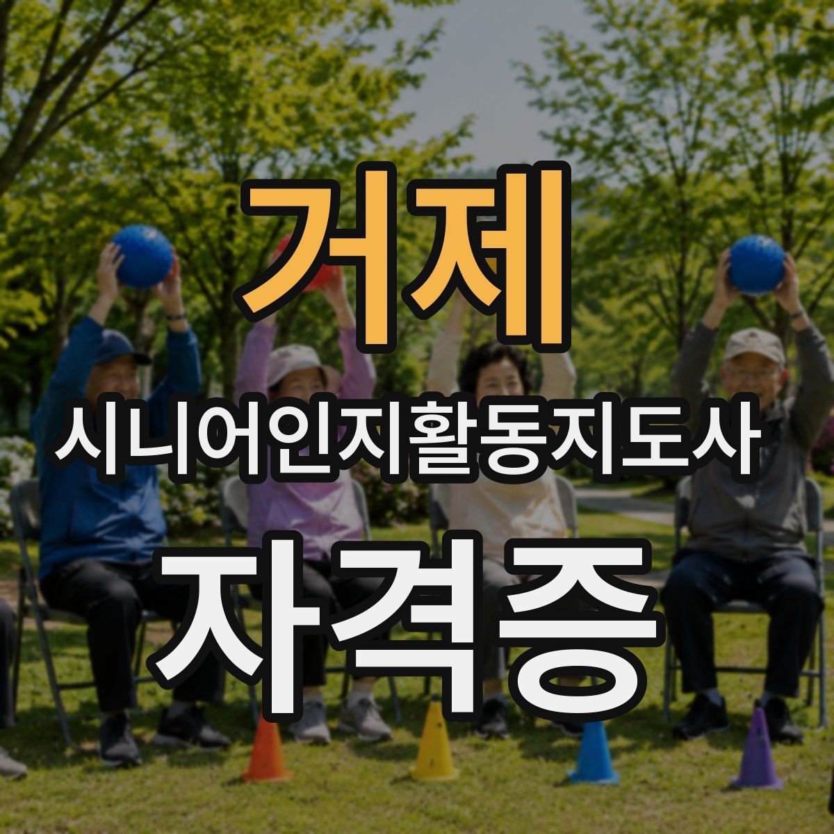 거제 시니어인지활동지도사 자격증