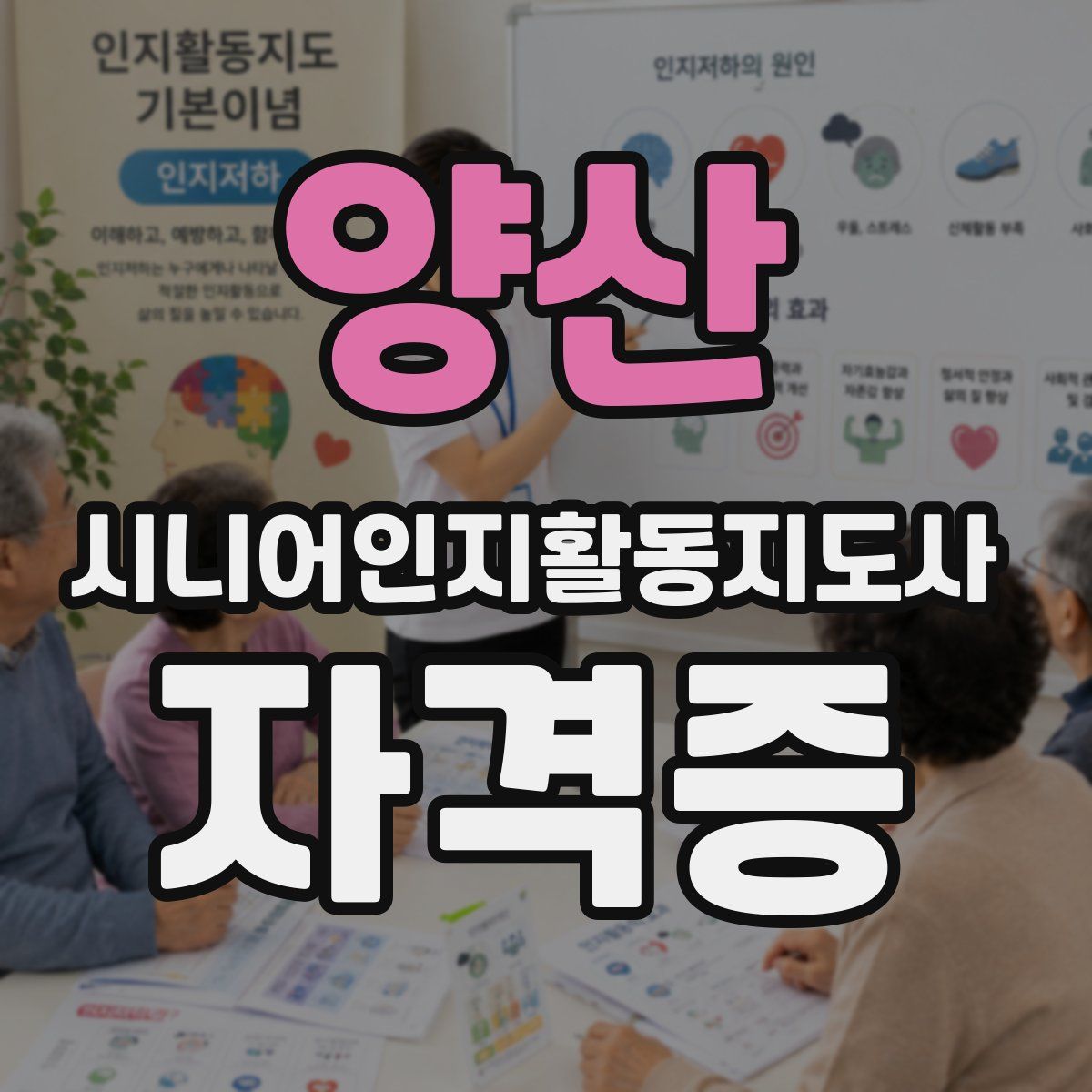 양산 시니어인지활동지도사 자격증