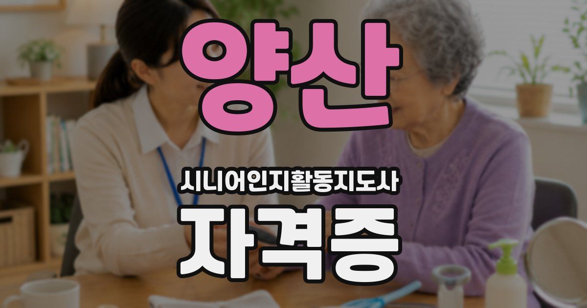 양산 시니어인지활동지도사 자격증