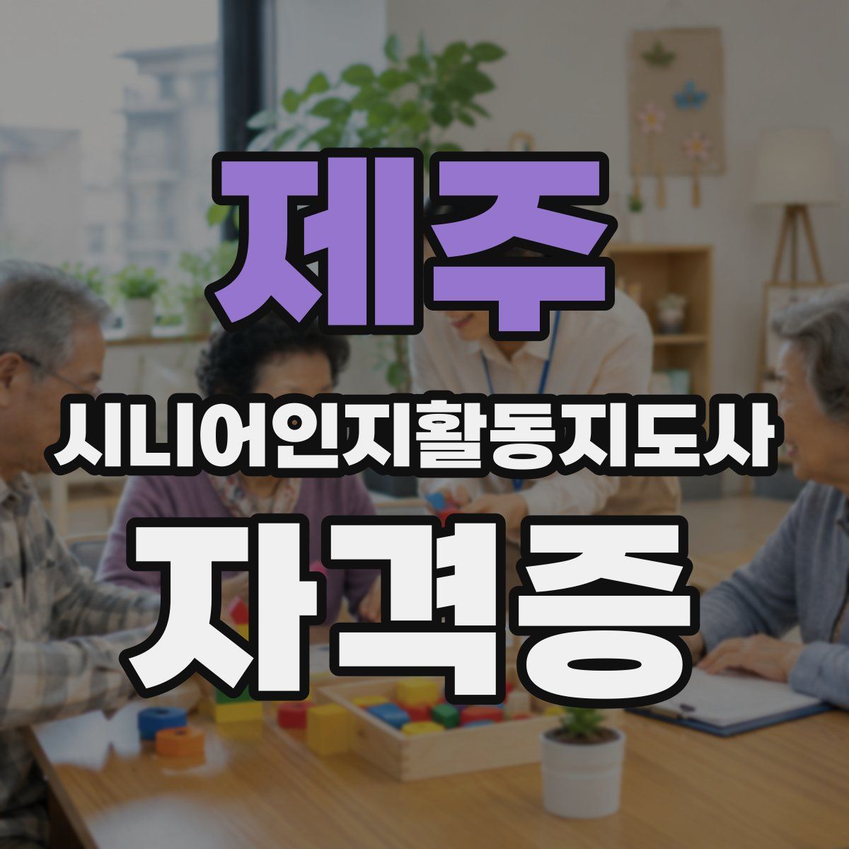 제주 시니어인지활동지도사 자격증