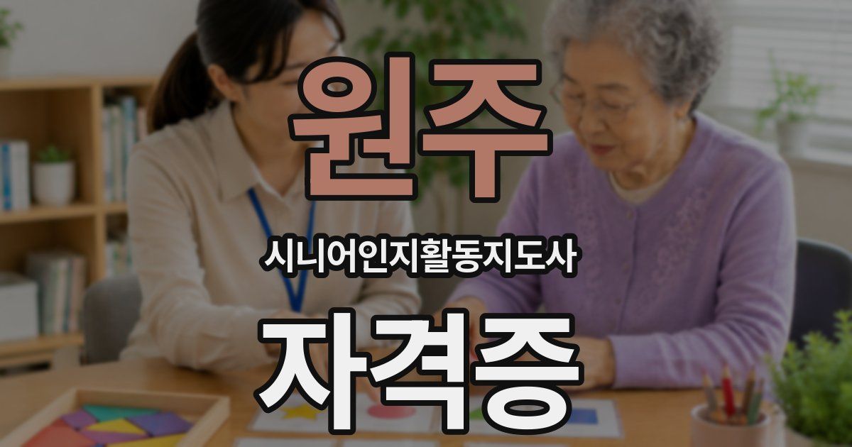 원주 시니어인지활동지도사 자격증