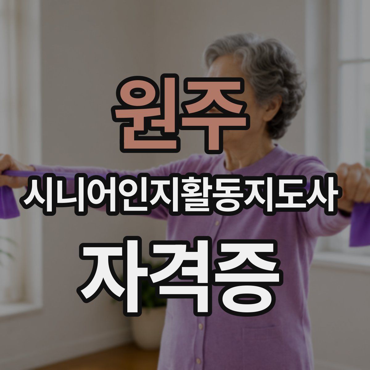 원주 시니어인지활동지도사 자격증