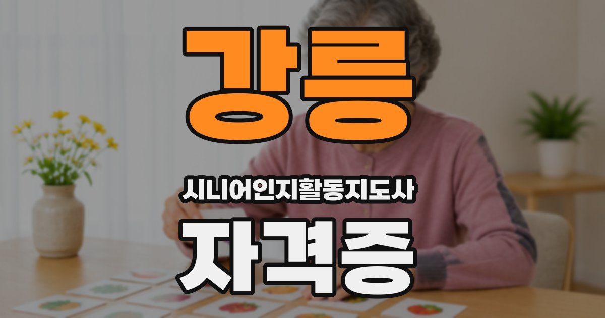 강릉 시니어인지활동지도사 자격증