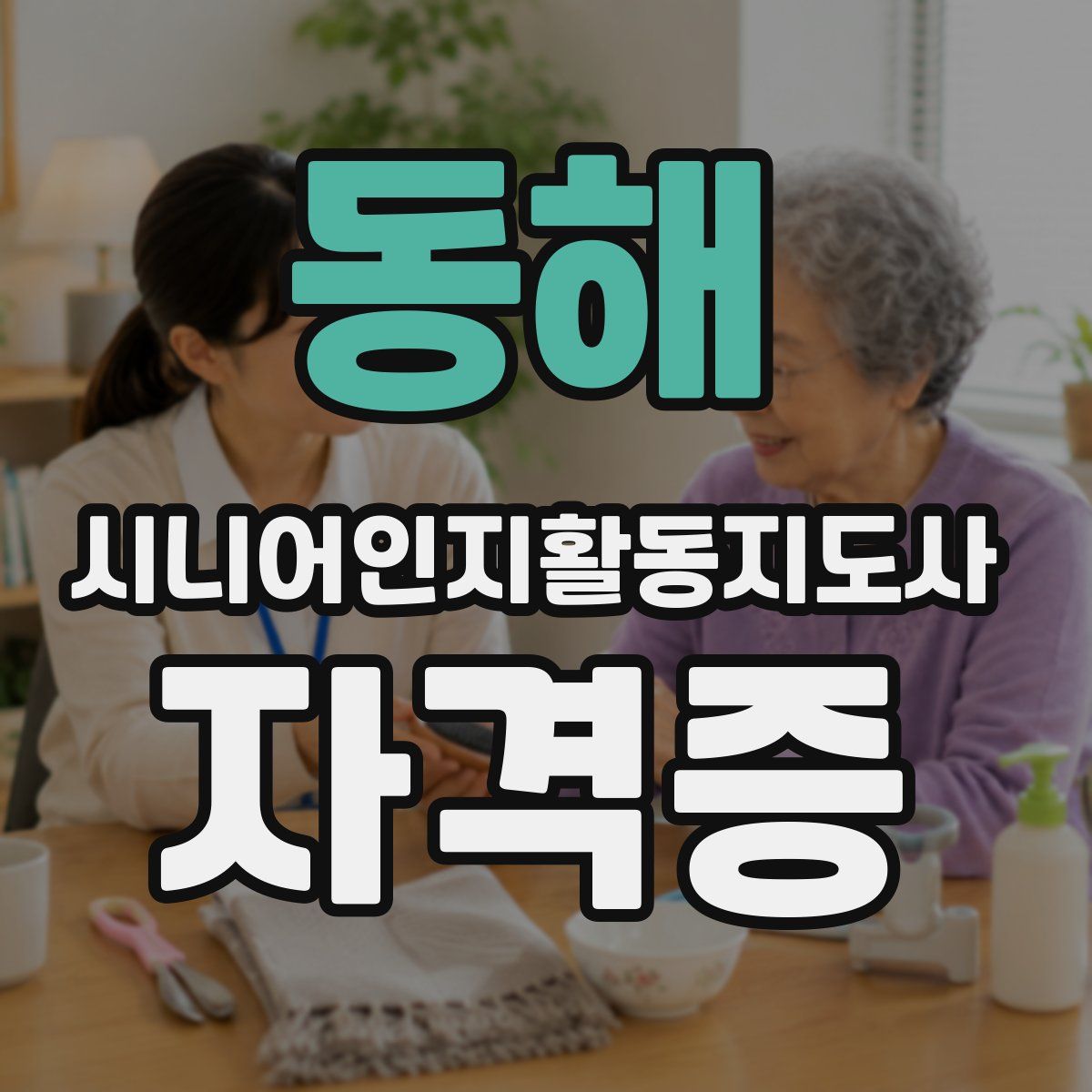 동해 시니어인지활동지도사 자격증