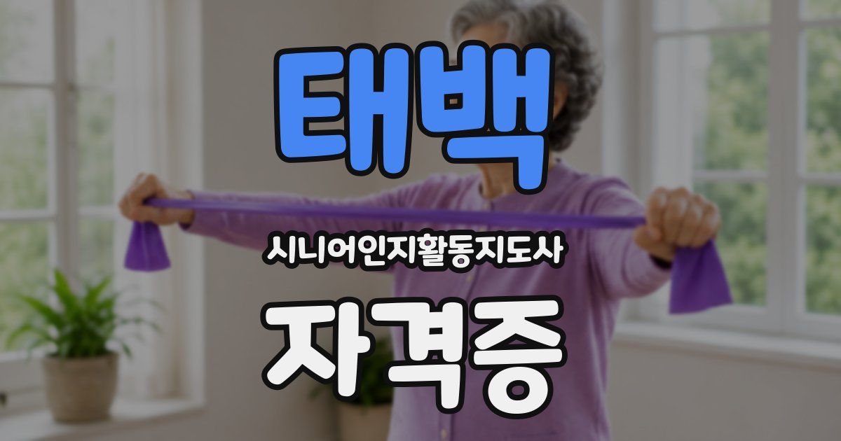 태백 시니어인지활동지도사 자격증