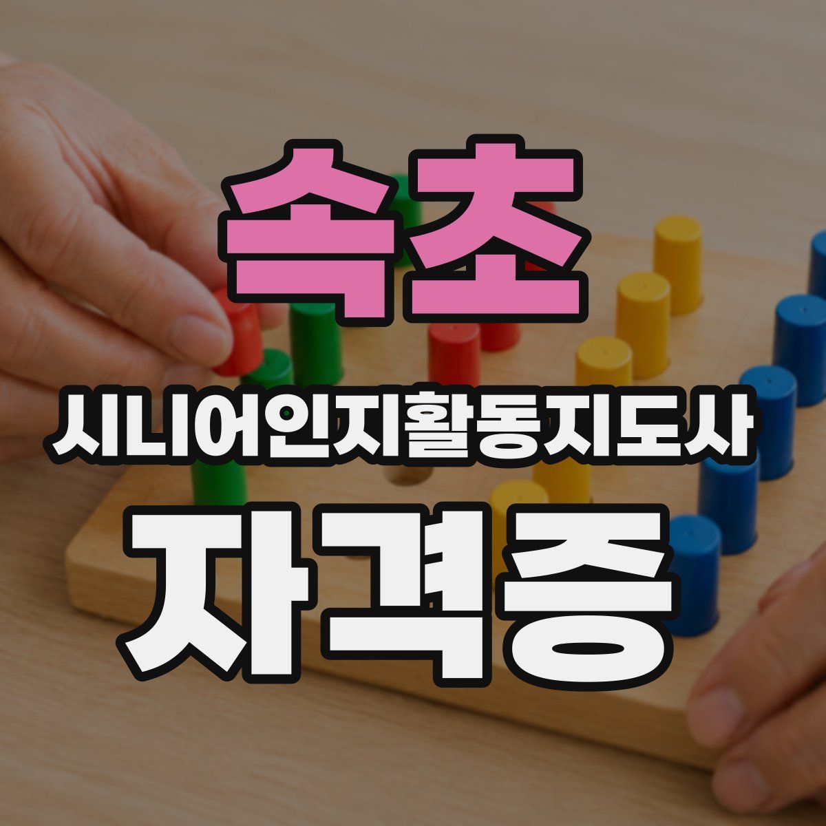 속초 시니어인지활동지도사 자격증