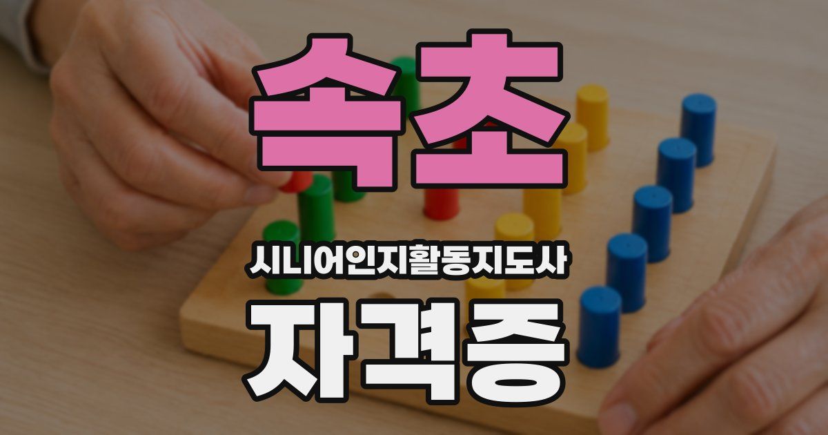 속초 시니어인지활동지도사 자격증