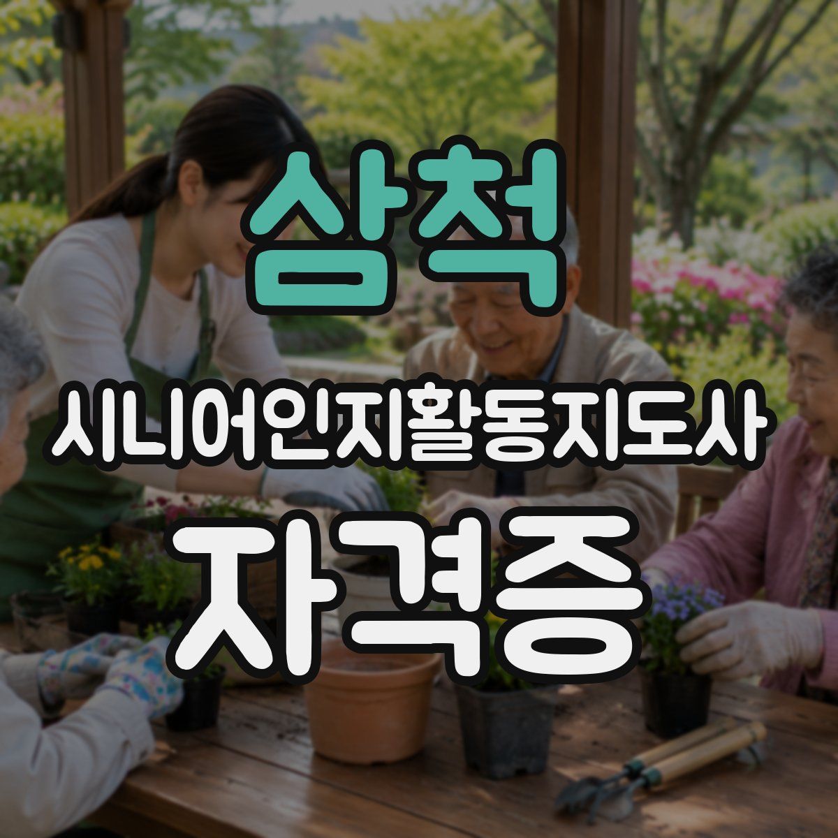 삼척 시니어인지활동지도사 자격증
