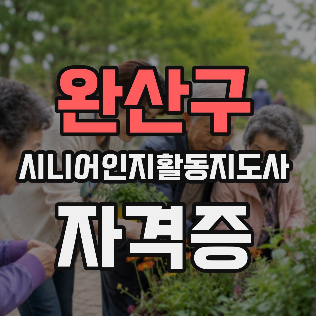 완산구 시니어인지활동지도사 자격증
