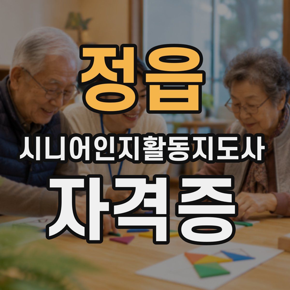 정읍 시니어인지활동지도사 자격증