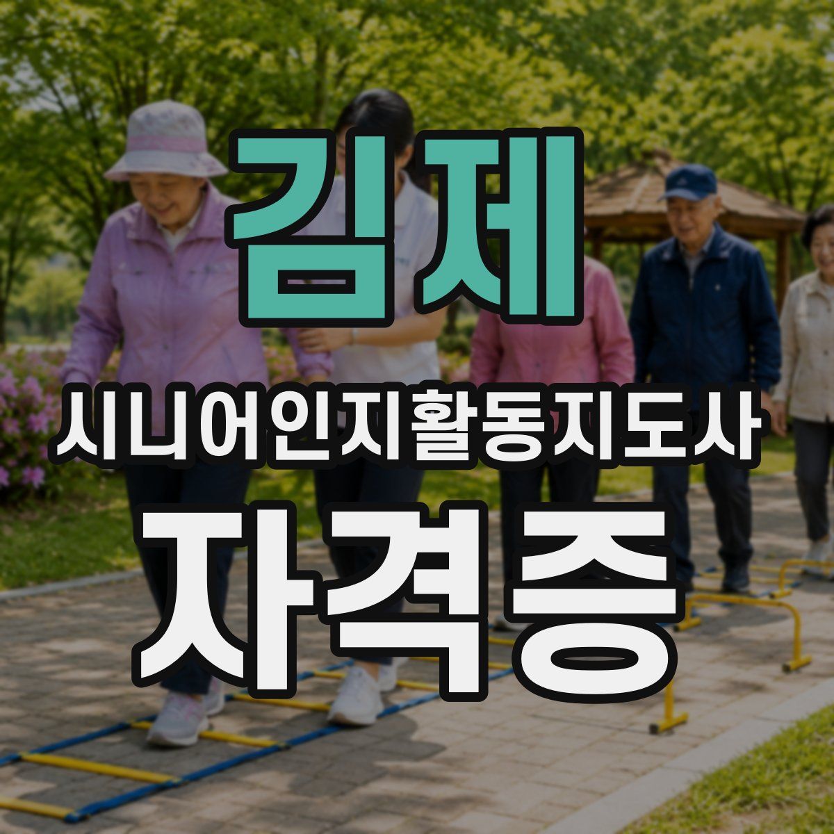 김제 시니어인지활동지도사 자격증