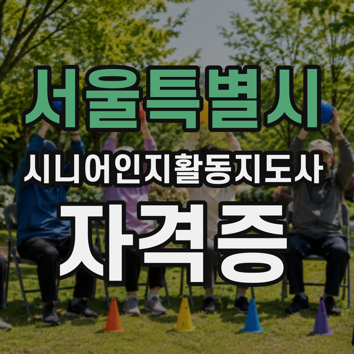 서울특별시 시니어인지활동지도사 자격증