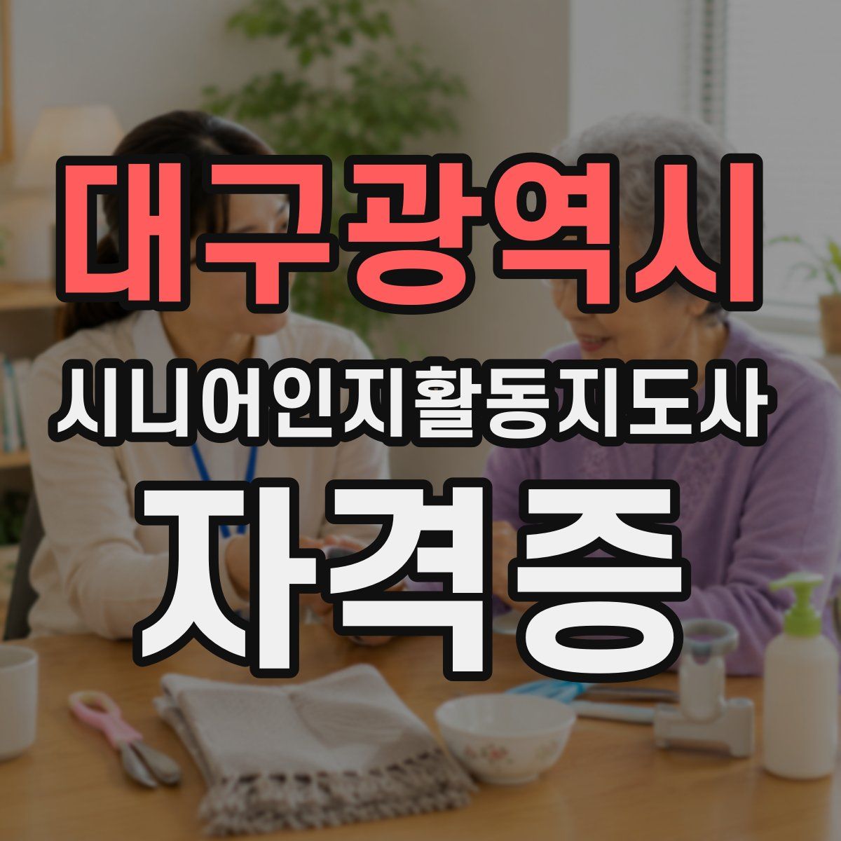 대구광역시 시니어인지활동지도사 자격증