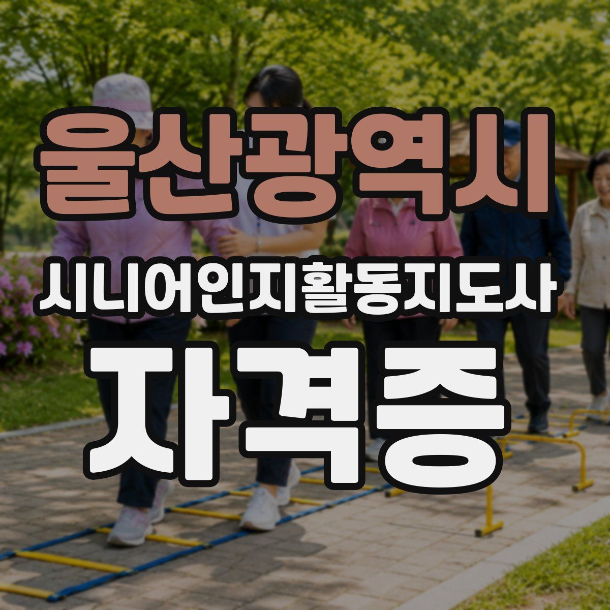 울산광역시 시니어인지활동지도사 자격증
