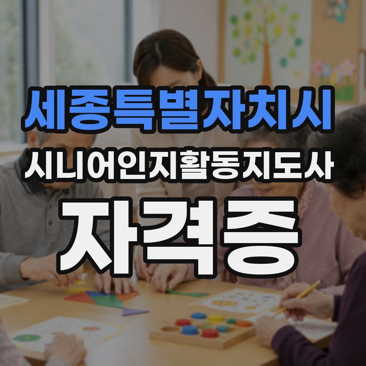 세종특별자치시 시니어인지활동지도사 자격증