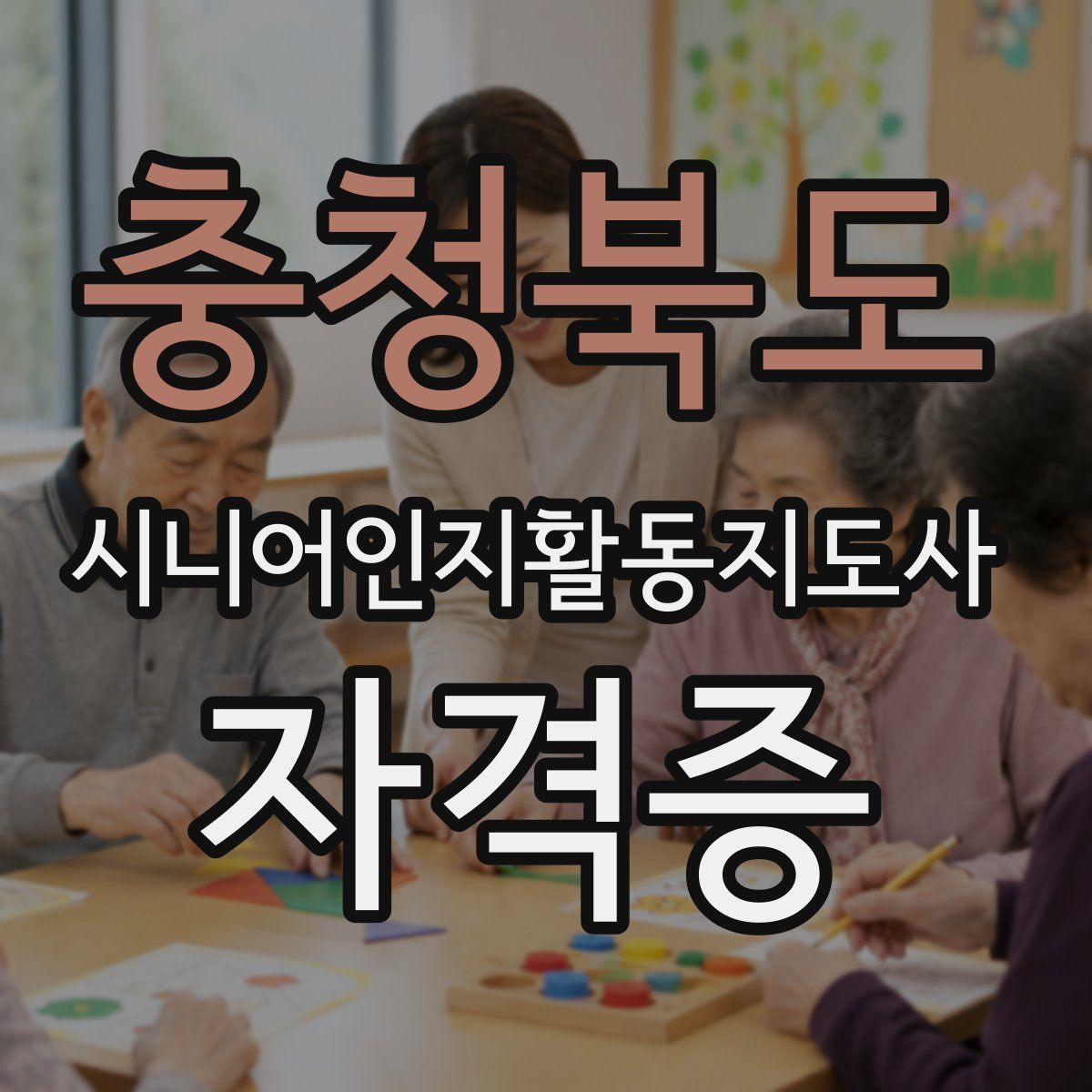 충청북도 시니어인지활동지도사 자격증
